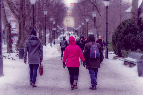 OSLO, NORUEGA - MARÇO 8, 2017: Vista ao ar livre de pessoas caminhando no vigeland Park, vestindo roupas quentes em um dia de inverno alegre — Fotografia de Stock