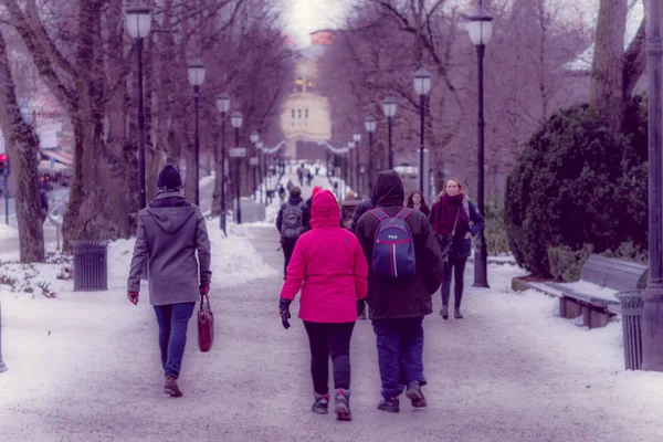 OSLO, NORUEGA - 8 DE MARZO DE 2017: Vista al aire libre de la gente caminando en Vigeland Park, vistiendo ropa de abrigo en un día de invierno ventoso —  Fotos de Stock