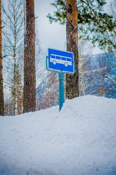 Reinli, Νορβηγία - 26 Μαρτίου 2018: Εξωτερική όψη του σύμβολο του λεωφορείου στην μία πλευρά του δρόμου, σχεδόν καλυμμένη με χιόνι και πάγο στο δάσος το χειμώνα — Φωτογραφία Αρχείου