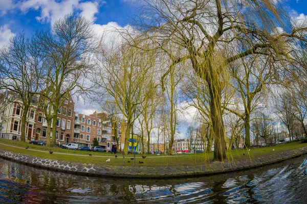 AMSTERDAM, NETHERLANDS, MARCH, 10 2018: Outdoor view of many dry trees in a park at riverside at canals of Amsterdam, is the capital city of the Netherlands with beautiful sunny day — Stock Photo, Image