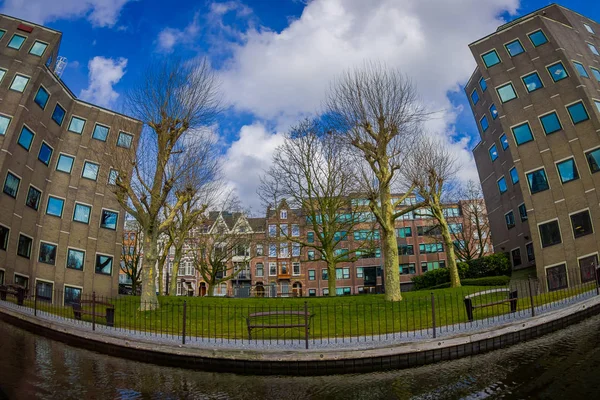 Άμστερνταμ, κάτω χώρες, Μάρτιος, 10 2018: εξωτερική θέα πολλών ξηρών δέντρων σε ένα πάρκο στο ποτάμι στα κανάλια του Άμστερνταμ, είναι η πρωτεύουσα της Ολλανδίας με όμορφη ηλιόλουστη μέρα — Φωτογραφία Αρχείου