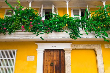 Cartagena, Kolombiya, Ekim, 30, 2017: Cartagena şehir bitkiler asılı ile renkli binalar Walled şehir, sokak.