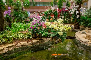 Bangkok, Tayland - 09 Şubat 2018: Singapur Changi Havaalanı içinde bitkiler ile küçük bir bahçede yürüyüş insanlar kapalı görünümünü. Singapur Changi Havaalanı birincil sivil Havaalanı olduğunu