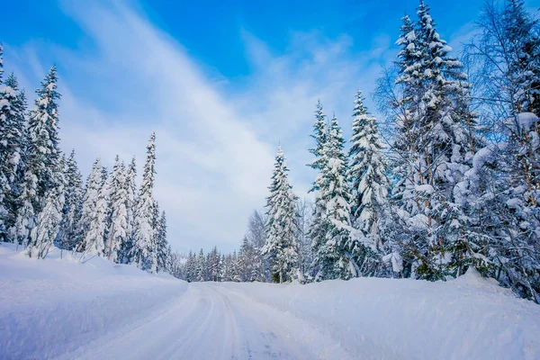 Hermosa vista al aire libre del camino de invierno cubierto de nieve pesada y hielo en el bosque — Foto de Stock