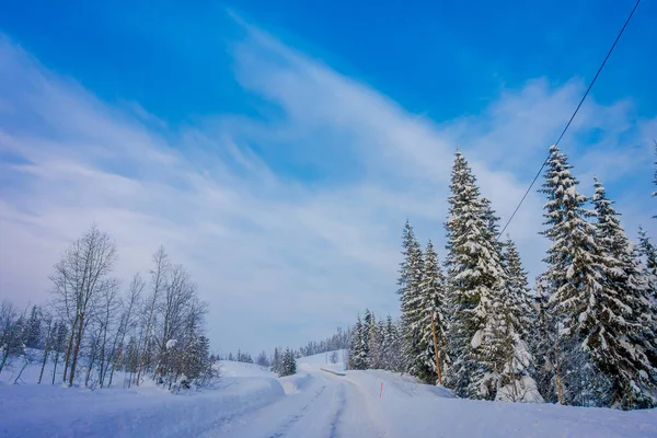 Vista esterna della strada invernale coperta di neve e ghiaccio nella foresta — Foto Stock