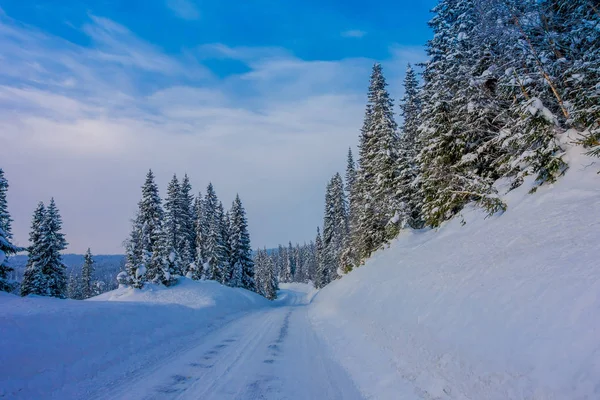 Εξωτερική όψη του χειμώνα δρόμο καλυμμένο με βαρύ χιόνι και τον πάγο στο δάσος — Φωτογραφία Αρχείου