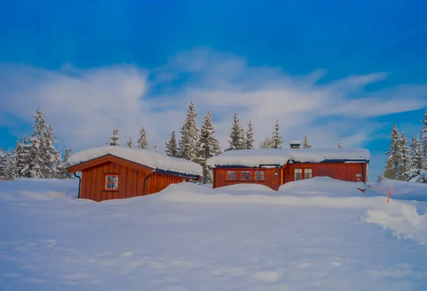 Blick auf Schnee in Kiefern während eines schweren Winters und typische rote Holzhäuser — Stockfoto