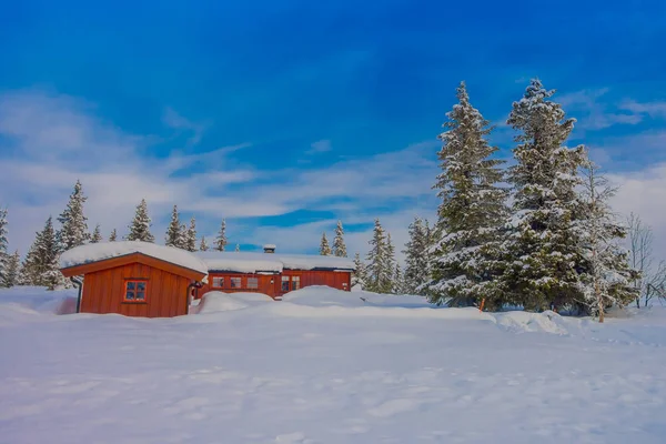 Vista al aire libre de la nieve en pinos durante un invierno pesado y casas rojas típicas de madera — Foto de Stock