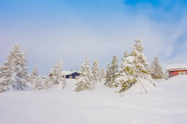 Bela vista ao ar livre de árvores cobertas de neve durante um inverno pesado na região de Bagnsasen, na Noruega — Fotografia de Stock