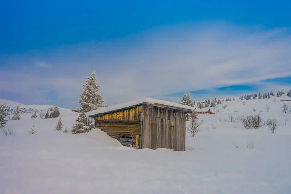 Vista al aire libre de la antigua casa de madera solitaria cubierta de nieve pesada y algunos otros edificios en el horizonte — Foto de Stock