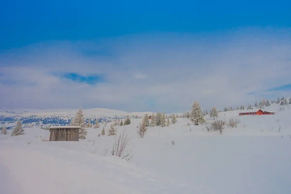 Vista ao ar livre da velha casa de madeira solitária coberta com neve pesada e alguns outros edifícios na horizontal — Fotografia de Stock