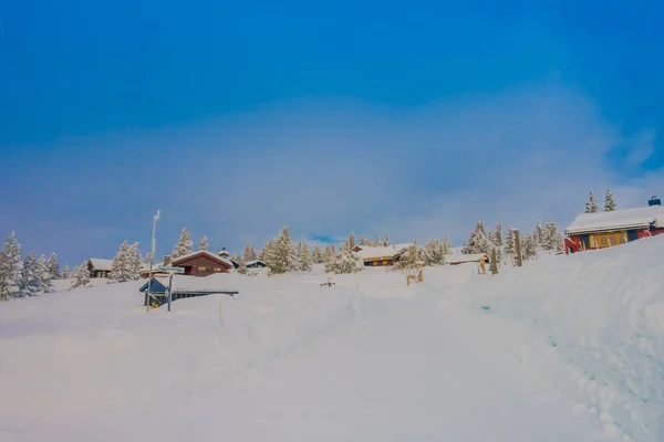 Hermosa vista al aire libre de los árboles cubiertos de nieve durante un pesado invierno en la región de Bagnsasen en Noruega —  Fotos de Stock