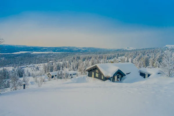 Над видом на красивый ландшафт деревянных зданий с соснами покрыты снегом и льдом в лесу в зимний период — стоковое фото