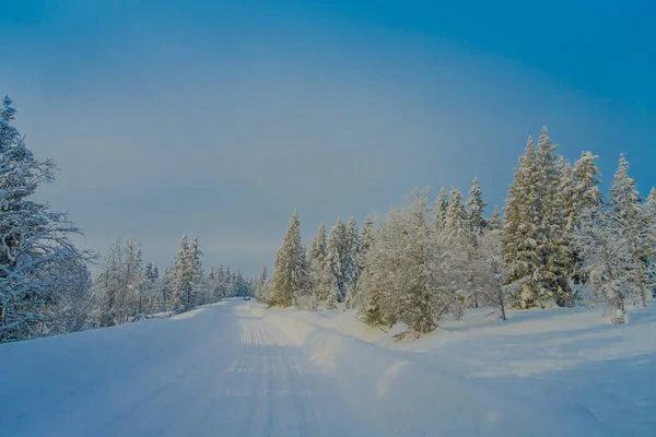 Vista com árvores cobertas de neve na floresta em um lado da estrada durante o inverno na região de Bagnsasen, na Noruega — Fotografia de Stock