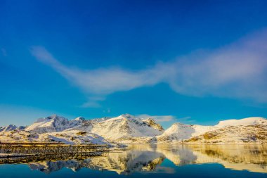 Dağ Lofoten Adaları gölde bir tarafında yer alan cod hisse senedi balık kafası ile suya yansıtan görünümünü