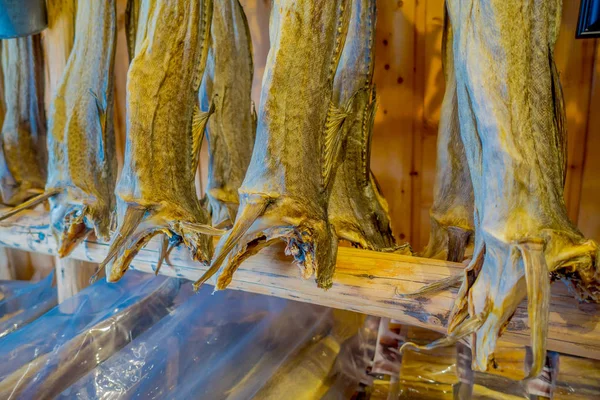 Widok tradycyjny sposób suszenia dorsza zapasów ryb wewnątrz budynku w Lofoty — Zdjęcie stockowe