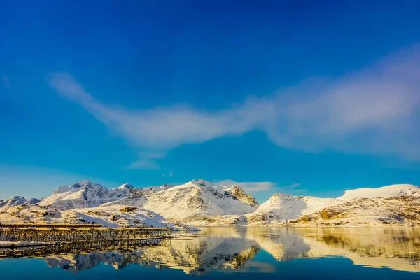 Vista de la montaña reflejada en el agua con cabezas de peces de bacalao situadas a un lado del lago en las islas Lofoten —  Fotos de Stock