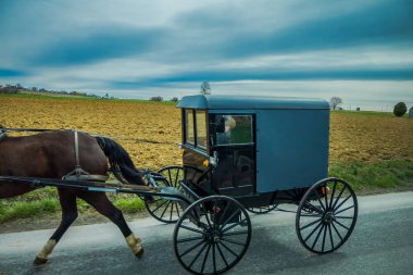 Doğu Pennsylvania bir at ile bir yolda Amish Buggy görünümü