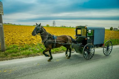 lancaster County, pennsylvania kırsal bir yolda geçecek bir amish ve atımı