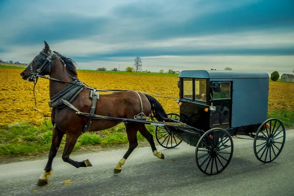 Veduta del buggy Amish su una strada con un cavallo nella Pennsylvania orientale — Foto Stock