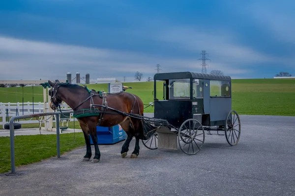Pennsylvania, Stati Uniti, APRILE, 18, 2018: Vista esterna della carrozza buggy Amish parcheggiata in una fattoria con un cavallo utilizzato per tirare l'auto per le strade — Foto Stock