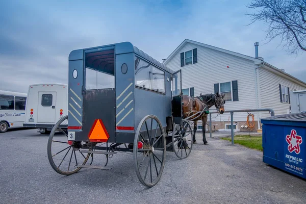 米国ペンシルバニア州、4月、18、2018: 農場に駐車している馬を持つアーミッシュのバギーの背面の眺め — ストック写真