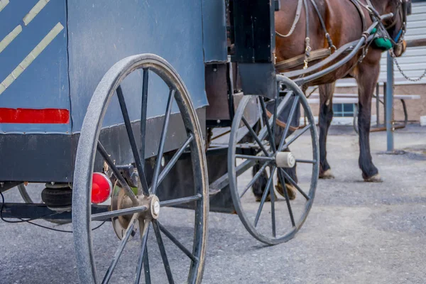Primo piano della vista posteriore della ruota del buggy Amish con un cavallo gambe parcheggiato in una fattoria — Foto Stock