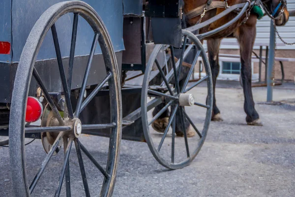 Nahaufnahme der Rückansicht des Rades eines amischen Buggys mit einem Bein Pferd in einem Bauernhof geparkt — Stockfoto