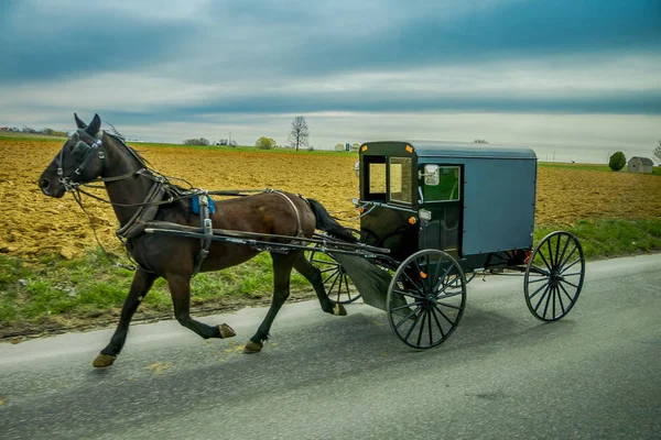 Veduta del buggy Amish su una strada con un cavallo nella Pennsylvania orientale — Foto Stock