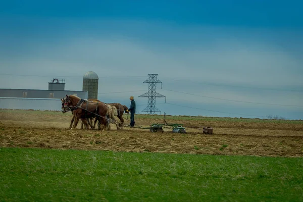 Amish γεωργό με πολλά άλογα αναποδιά αντίκες άροτρο στον τομέα — Φωτογραφία Αρχείου