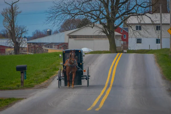 Zewnętrzny widok Amish konia i przewozu przemieszcza się na drodze w Lancaster County — Zdjęcie stockowe