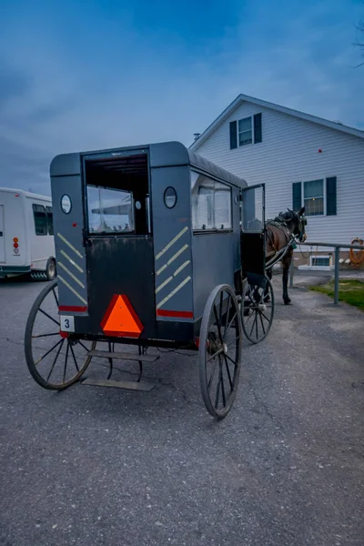 Blick auf die Rückseite eines Buggys mit einem Pferd, das in einem Bauernhof geparkt ist — Stockfoto