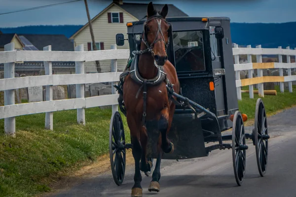 Buiten beeld van Amish paard en wagen rijdt op een weg in Lancaster County — Stockfoto