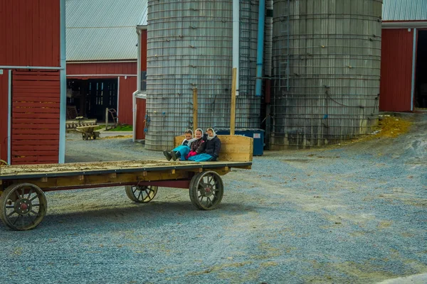 LANCASTER, USA - 18 APRILE 2018: Veduta esterna di ragazze amish che sorridono e giocano in una carrozza di legno situata in una fattoria nella zona di Lancaster — Foto Stock