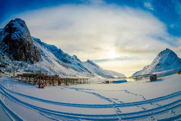 Buiten uitzicht op houten stokken gebruikt voor traditionele manier voor het drogen van kabeljauw voorraad vissen in de Lofoten eilanden — Stockfoto