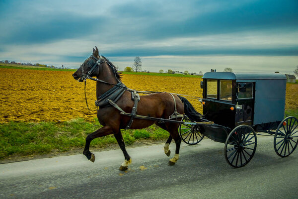Pennsylvania, USA, APRIL, 18, 2018: Oudoor View of Amish buggy on a road with a horse in eastern Pennsylvania