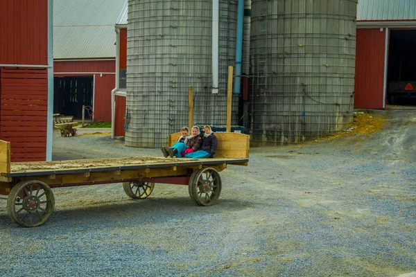 Lancaster, USA - 18. April 2018: Außenansicht eines lachenden und spielenden amischen Mädchens in einer Holzkutsche auf einem Bauernhof in der Gegend von Lancaster — Stockfoto