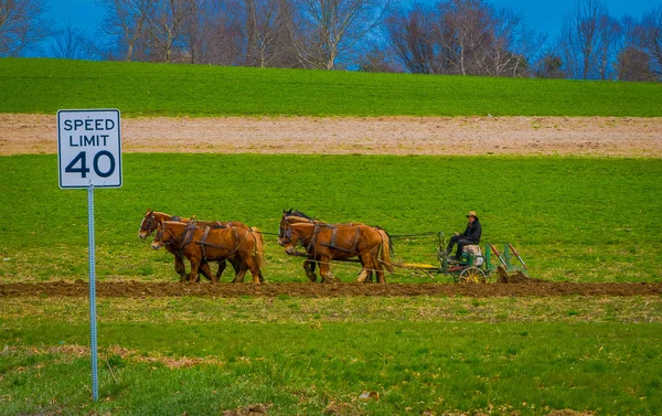 LANCASTER, USA - APRIL, 18, 2018: Amish farmer using horses to hitch antique plow in the field, they produce their own food, not technology — Stock Photo, Image