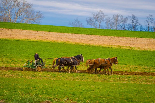 Lancaster, ΗΠΑ - Απριλίου 18, 2018: Εξωτερική άποψη των αγνώστων amish γεωργό με άλογα να αναποδιά αντίκες άροτρο στον τομέα. παράγουν το δικό τους φαγητό χωρίς τεχνολογία — Φωτογραφία Αρχείου