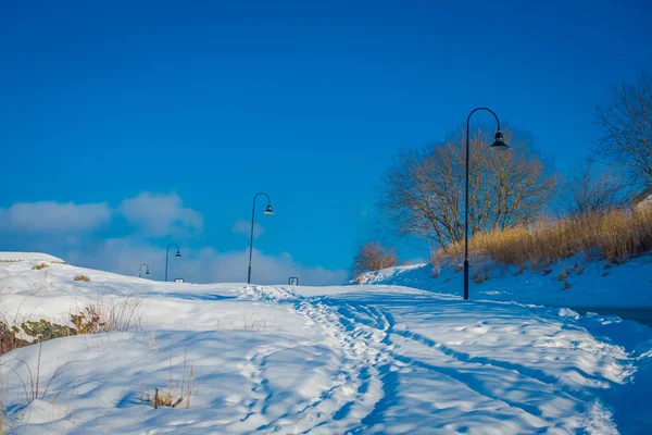 Outdoor view of public lights in a post covered with snow during winter at the norwegian city of Trondheim