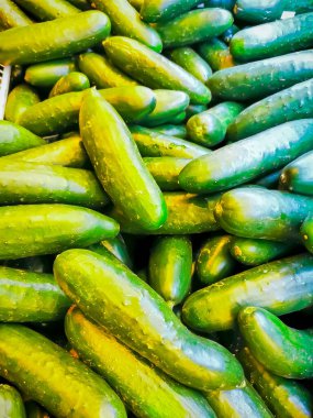 Taze salatalık yığını üst görünüm, yeşil arkaplan.