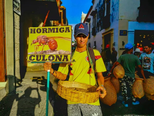 CARTAGENA, COLOMBIA - 9 ΝΟΕΜΒΡΙΟΥ 2019: Βρώσιμο μυρμήγκι παραδοσιακό από την περιοχή Santander της Κολομβίας που ονομάζεται Hormiga Culona — Φωτογραφία Αρχείου