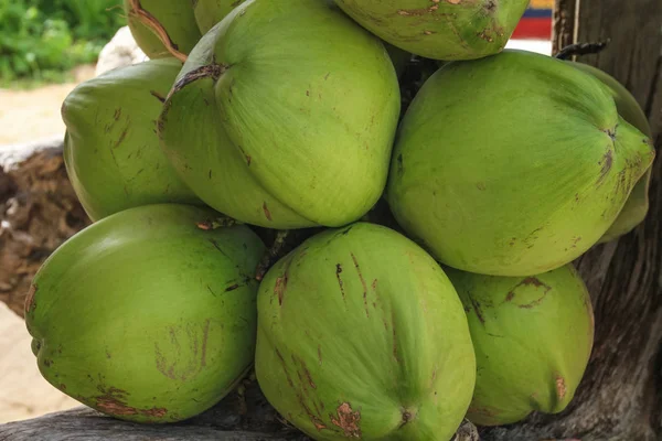 Stelletje groene kokosnoten, Boracay Island, Filippijnen — Stockfoto