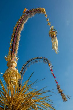 Galungan kutlama için Penjor direkleri, Bali Adası, Endonezya