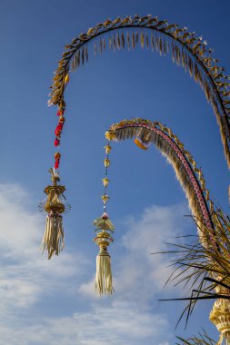 Galungan kutlama için Penjor direkleri, Bali Adası, Endonezya