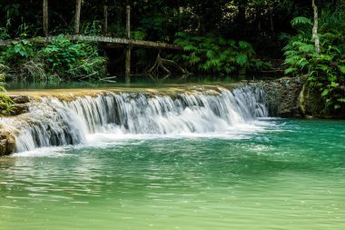 Champasak province, Laos, şelale