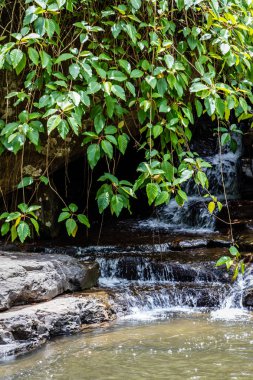 Champasak province, Laos, şelale