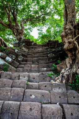 Taş adımları KDV Phou tapınak kompleksi, Champasak province, Laos