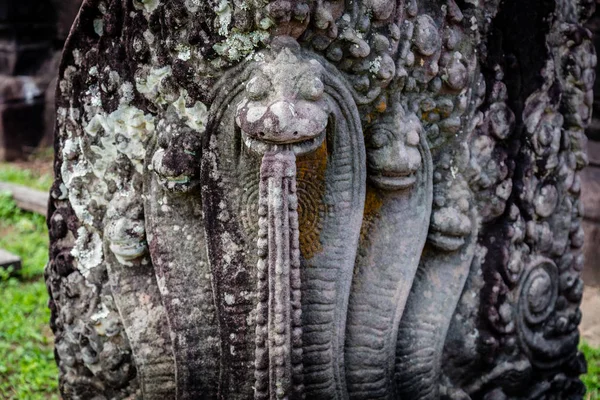 Snake biting its tail, stone carving at Vat Phou temple complex, Champasak province, Laos