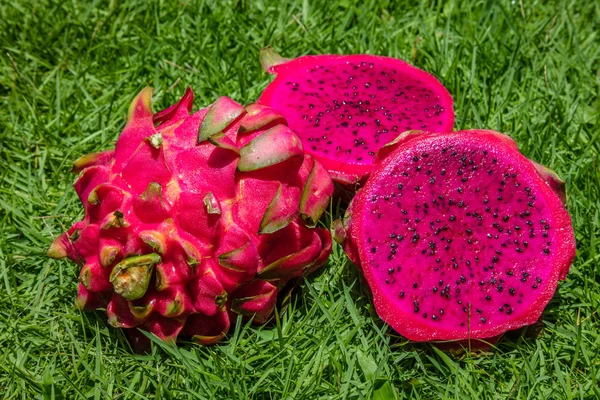 Red dragon fruit or pitaya on the grass, Indonesia